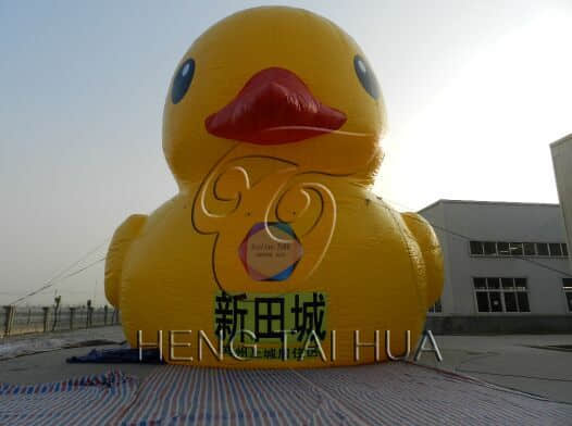 新田城大黄鸭